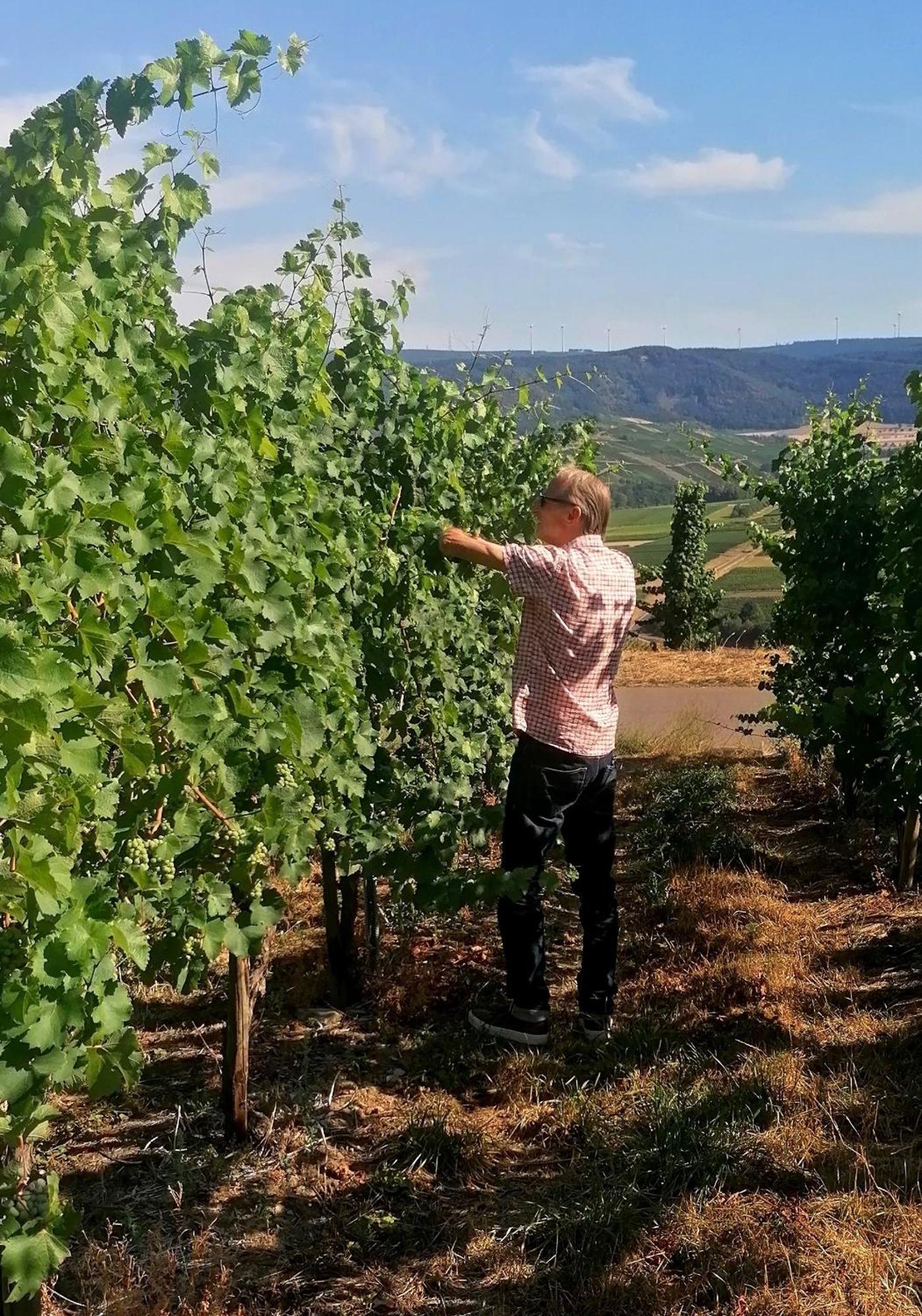 Weingut Tiliahof Bed & Breakfast Brauneberg Eksteriør bilde