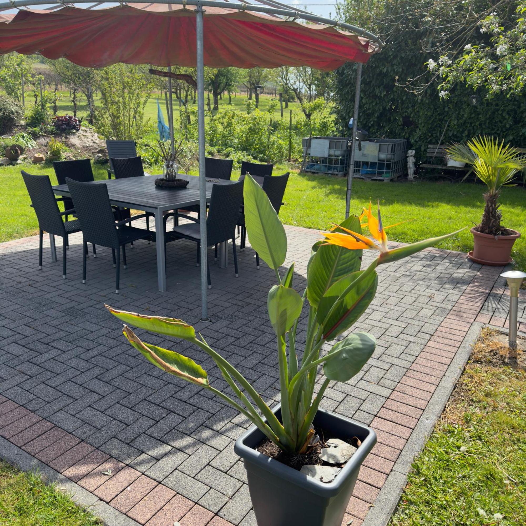 Weingut Tiliahof Bed & Breakfast Brauneberg Eksteriør bilde
