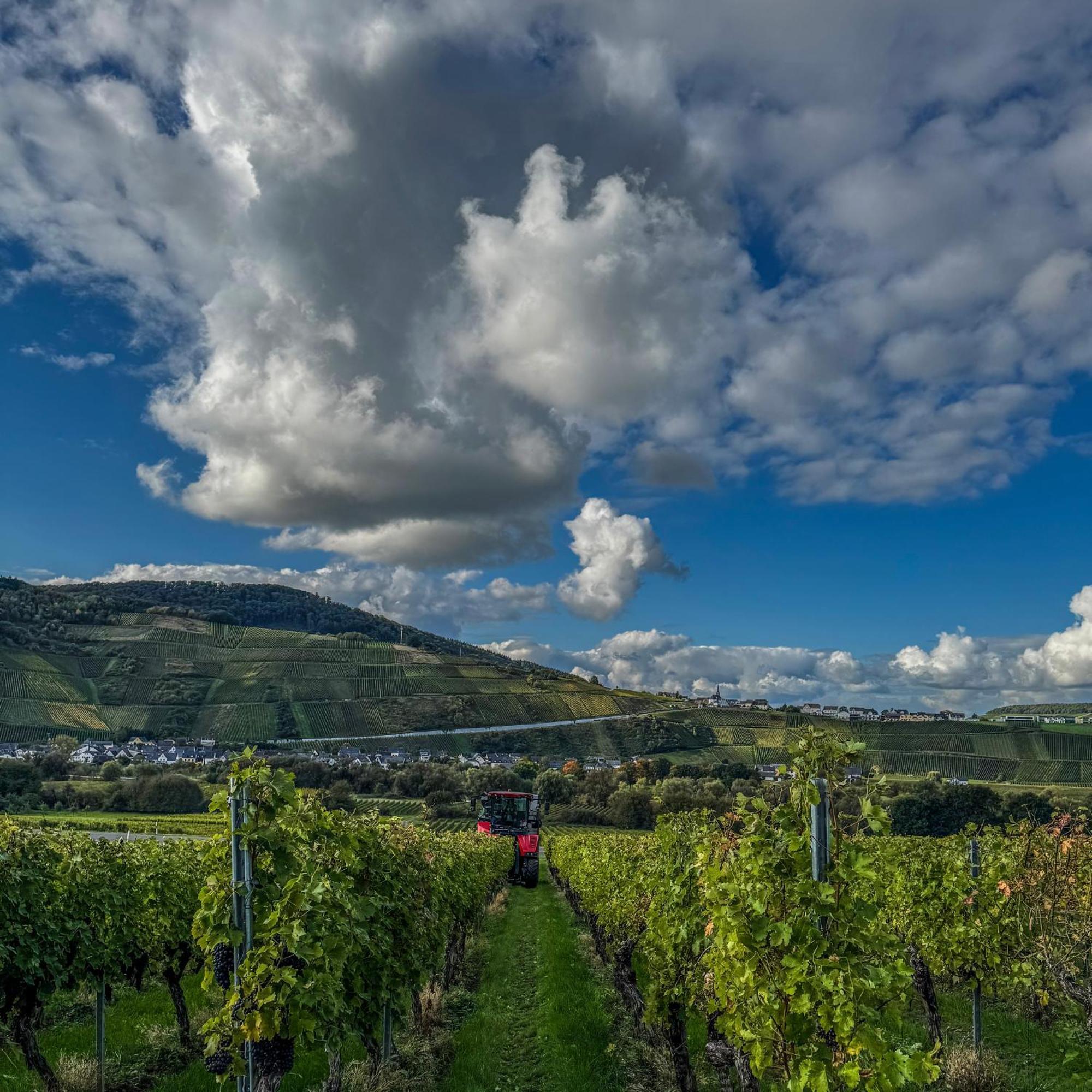 Weingut Tiliahof Bed & Breakfast Brauneberg Eksteriør bilde