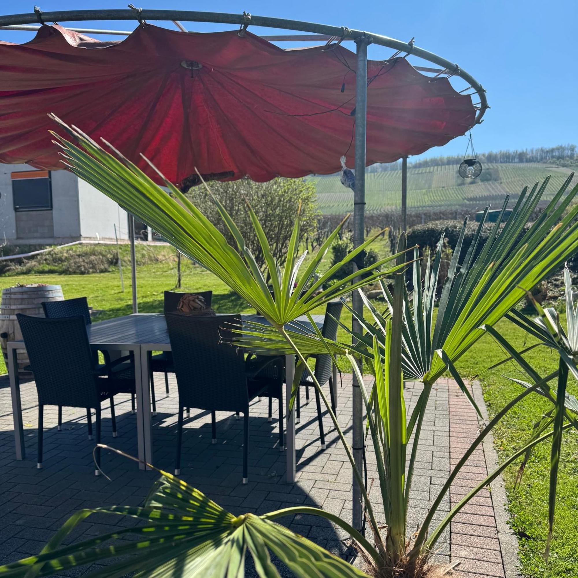 Weingut Tiliahof Bed & Breakfast Brauneberg Eksteriør bilde