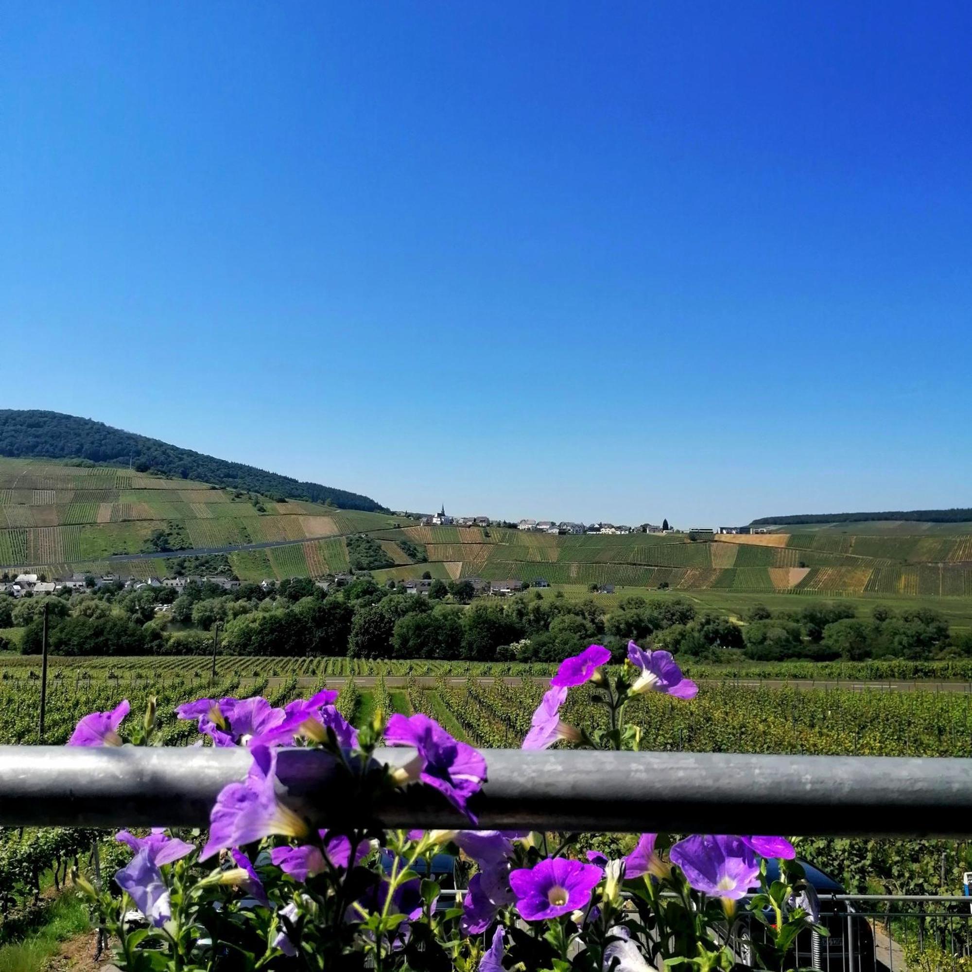 Weingut Tiliahof Bed & Breakfast Brauneberg Eksteriør bilde